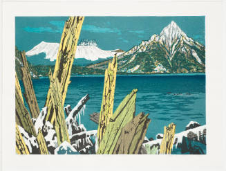 Lake Shikotsu in Winter