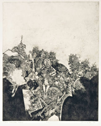 History of the 17th Century