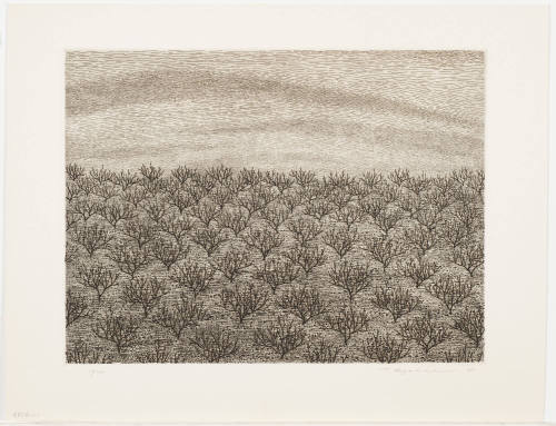 Orchard #3