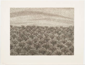 Orchard #3