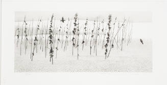 Riverbed