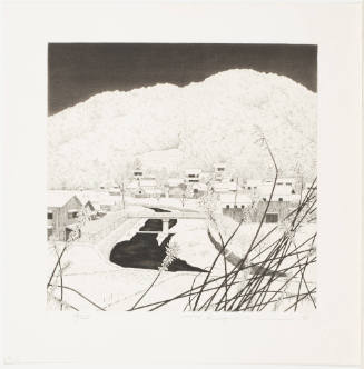 Snowy Village
