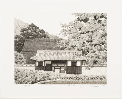 House with Big Tree