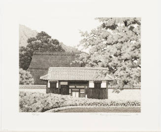 House with Big Tree