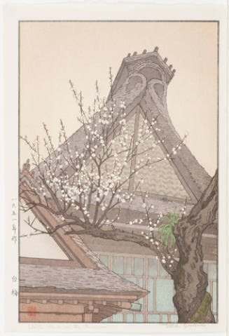 White Plum in the Farmyard