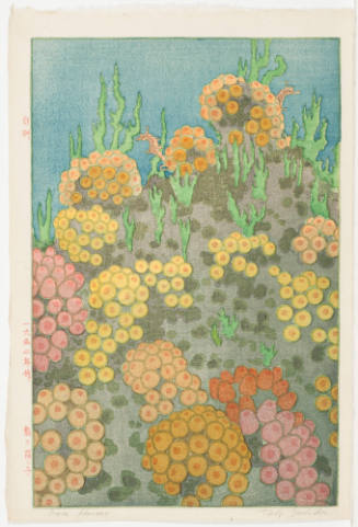 Sea Horses