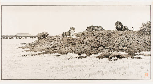 Peaceful Wild Animals