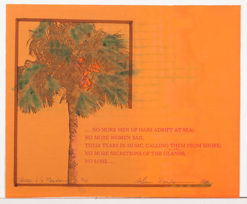 Stevens a la Florida