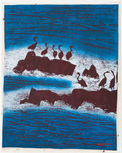 Sea Birds