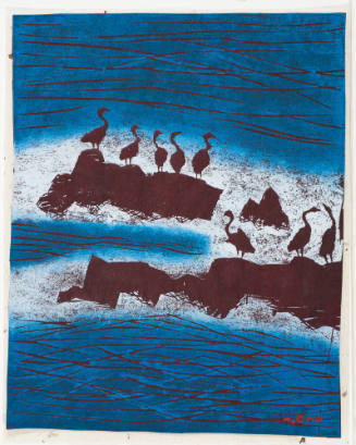 Sea Birds