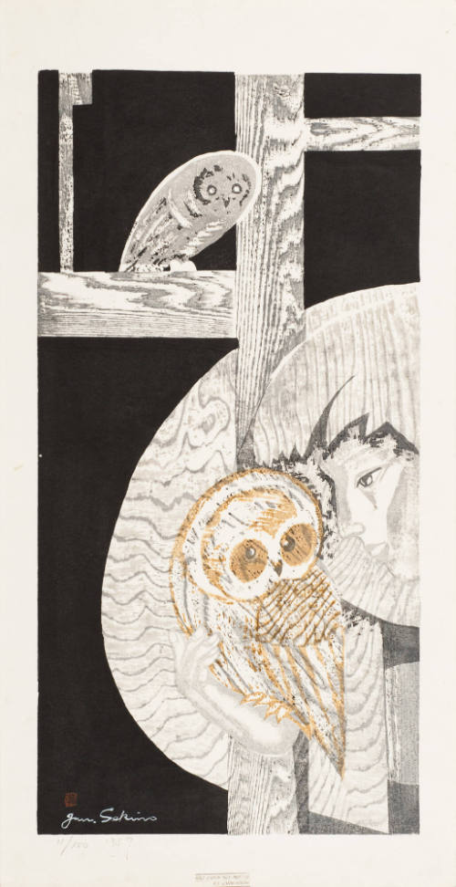 Boy and Owl (Boy and His Birds)