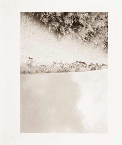 Colorado River Shore