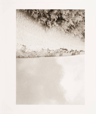 Colorado River Shore