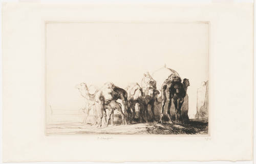 Camels at the Well