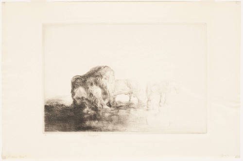 Collection Vraiz (Seaweed)  on the Jersey Beaches