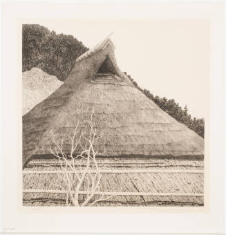 Roof in Kuchigi Village (Kuchigi mura no yane)