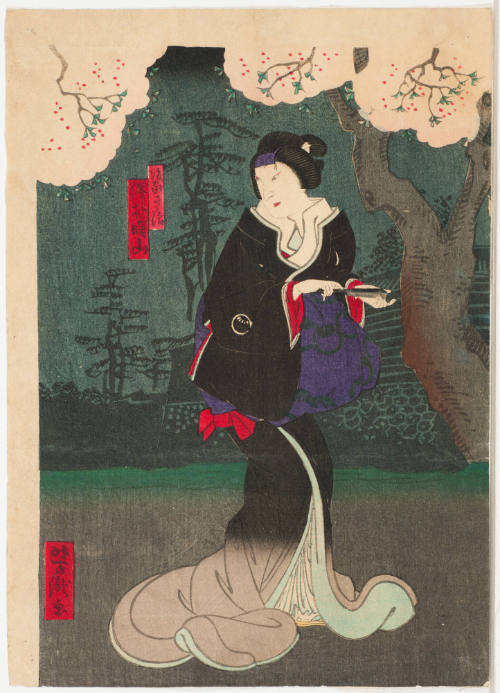 Actor Sawamura Shozan in Female Role
