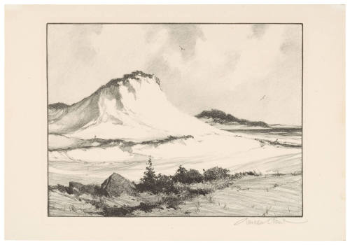 Crested Dune