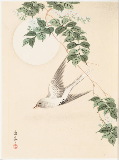 (Bird and Moon)