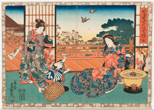 No. 5 Murasaki (Wakamurasaki)