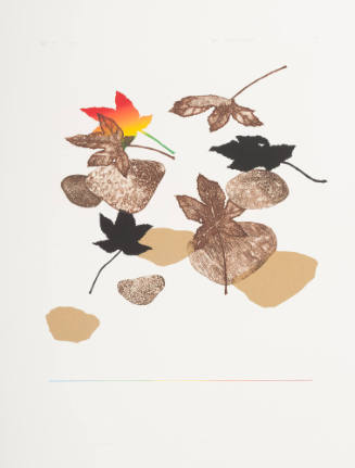 Autumn Garden (Akisomo)