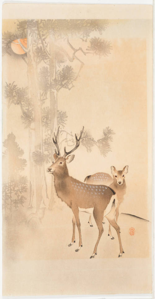 Two Deer