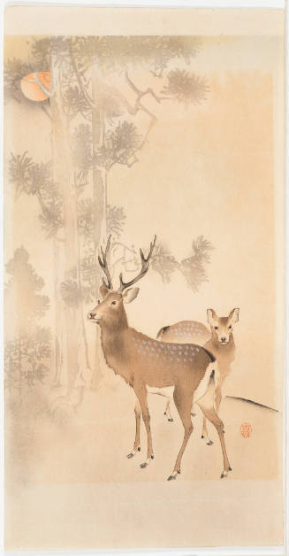 Two Deer