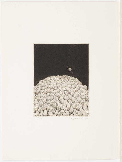 Chrysanthemum
