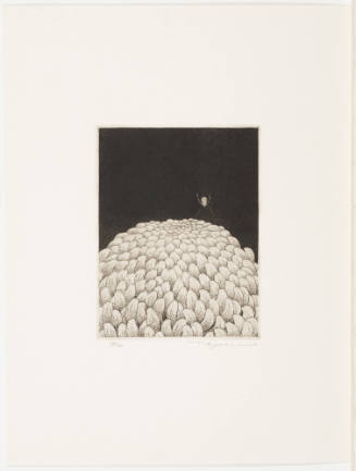 Chrysanthemum