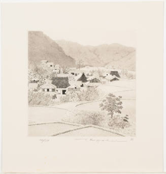 Rice Paddy Village