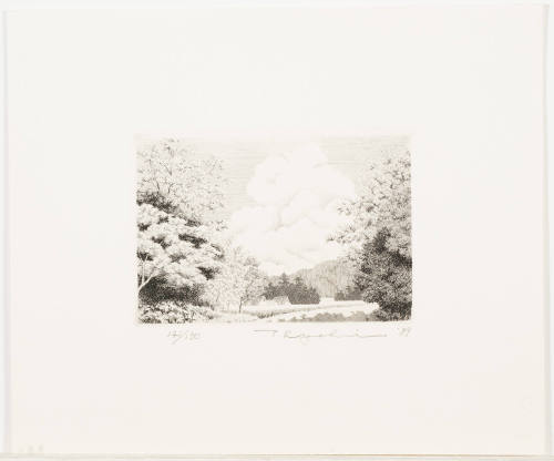 Cumulus Cloud (Nyudogumo)