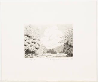 Cumulus Cloud (Nyudogumo)