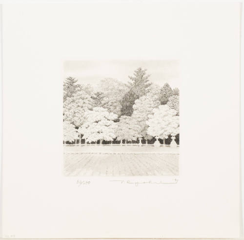 Grove #4 (Mori #4)