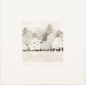 Grove #4 (Mori #4)