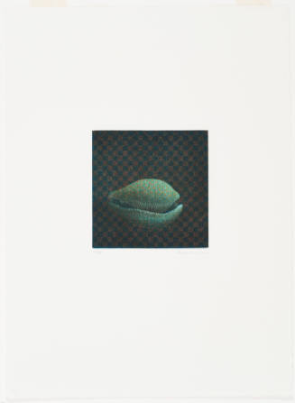 Shell (Coquillage)