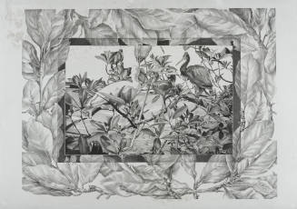 Magnolia Jungle: The Visitors