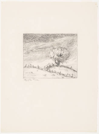 Apple Tree