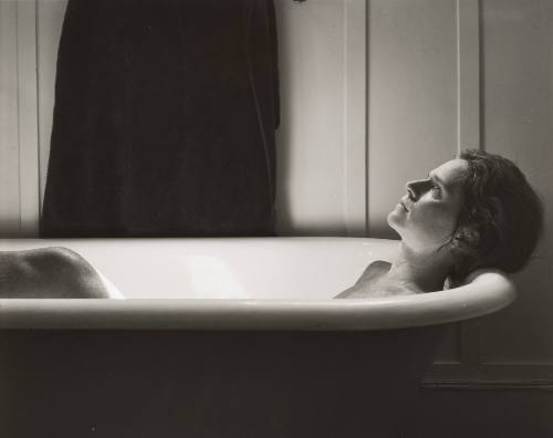 Bebe, Cambridge