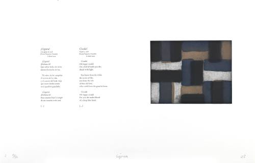 Cicada! (¡Cigarra!)