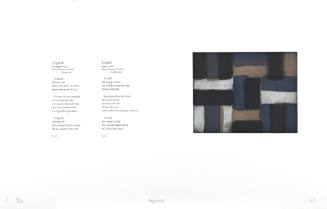 Cicada! (¡Cigarra!)