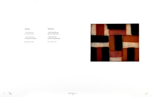 Harlequin (Arlequín)