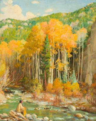 Rio Hondo Canyon, Taos County, New Mexico