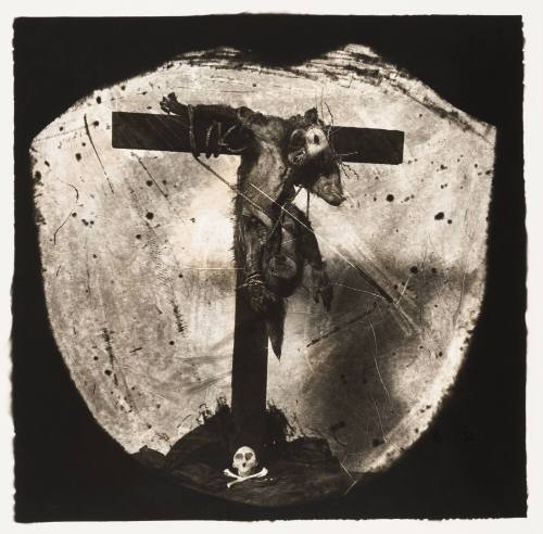 Savior of the Primates