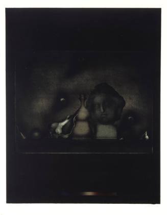 The Still Life of Josef Sudek