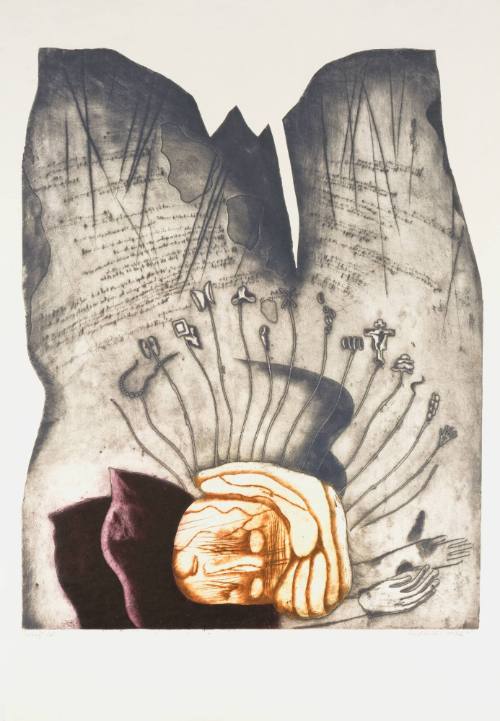 Dreams of an Old Woman