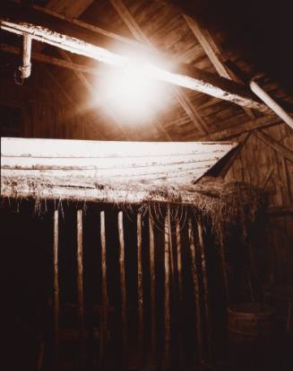 Dory in the Hay Loft