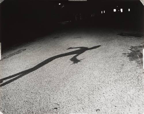Shadow-Self