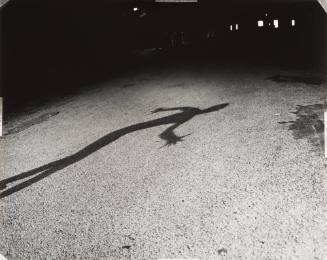 Shadow-Self