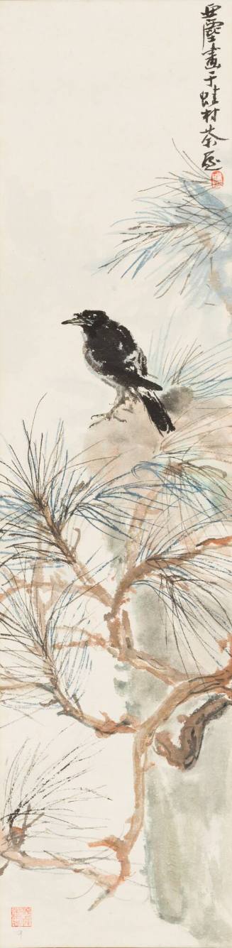 Crow and Pine Tree
