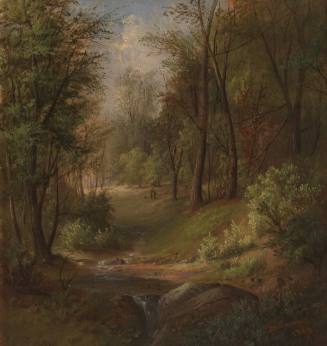 Woodland Pool